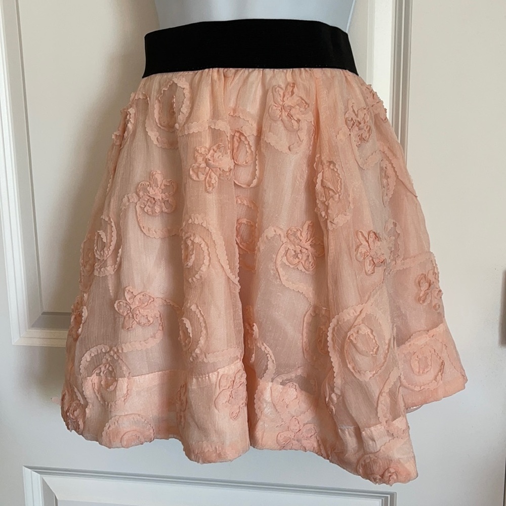 NWOT Peach Pink Floral detail skater Skirt Sz 10